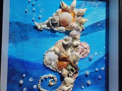 -海合安武汉极地海洋公园