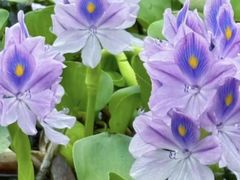 -白鹭湾湿地公园