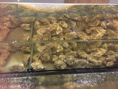 -Isla Sugbu Seafood City