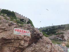 -海驴岛(荣成市)