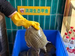 -大圣甲(汉口店)
