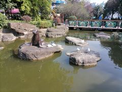 -海合安武汉极地海洋公园