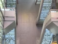 -广东中医药博物馆