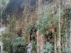 -馬蘭花開(车站大道店)