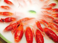 -红盔甲·小龙虾(天钥桥店)