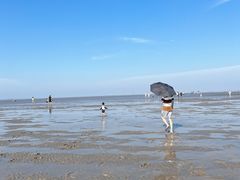 -南汇嘴观海公园