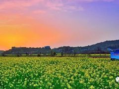 -怀化名堂(正清路店)