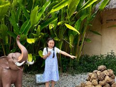 -大象粑粑造纸公园