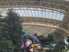 -杭州开元森泊度假乐园