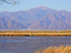 -野鸭湖国家湿地公园