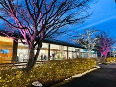 -轻井泽王子购物广场