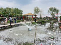 -同銮特种养殖场·龙虾垂钓