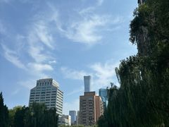 -团结湖公园