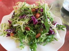 凉拌苦菊-迎宾楼饭庄(窦店)