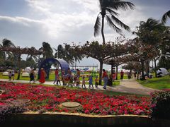 -三亚亚龙湾天域度假酒店