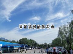 -阳台山自然风景区