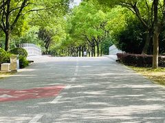 -贡湖湾湿地公园