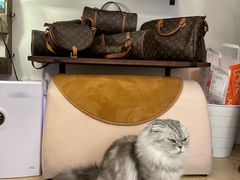 -Golikooo Vintage(中古店)