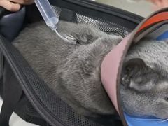 -联合动物医院(光谷诊疗中心)