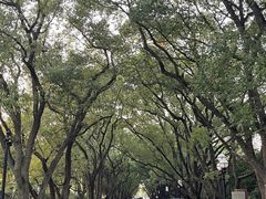 -西郊宾馆·1921餐厅