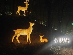 -淄博聊斋城景区