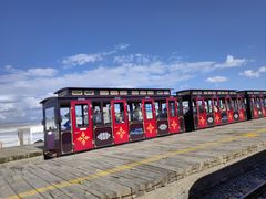 -青海茶卡盐湖文化旅游发展股份有限公司