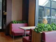 卡座-汉堡王(北京通州领展店)