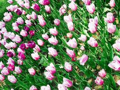 -长春公园(普阳街道)