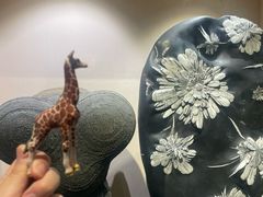 -河南自然博物馆