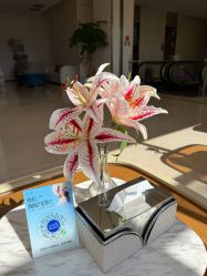 -韩辰医疗美容医院