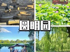 -回声星球·团建策划·赛事承办·拓展培训(大钟寺店)