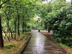 -东湖落雁景区