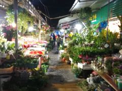 -曲阳花鸟市场(曲阳路店)