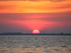 -湖南东洞庭湖国家级自然保护区