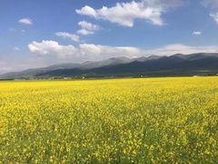 -青海湖国家重点风景名胜区售票处