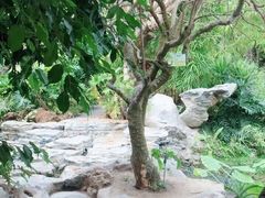 -南通洲际绿博园