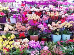 -三旗百汇商品城