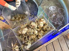 -火福·天湖阁大闸蟹博物馆主题餐厅(浅水湾店)