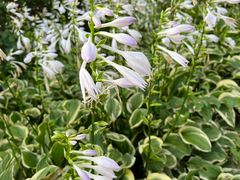 -意大利农场度假村