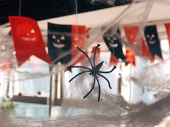 -帝京日语(春熙路旗舰校区)
