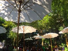 -Fern Forest Cafe