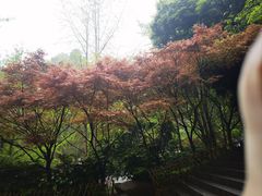 -岳麓山风景名胜区