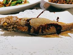 沪沽湖小黄鱼-牧雲子·臻选云南菜 .商务宴请(泰然大厦店)