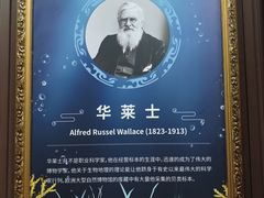 -贝壳王国博物馆