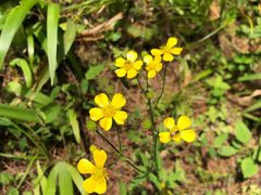 -蓝尊量贩(黄河路店)