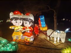 -南宫五洲植物乐园