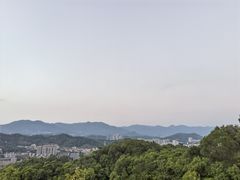 -福道