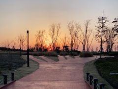 -春花秋色城市公园