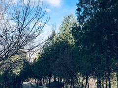 -阳台山自然风景区