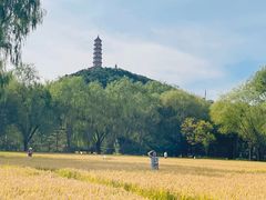 -北坞公园